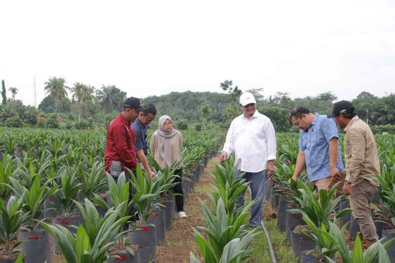Proyek Bibitan PTPN Bekri, Suplemen Ekonomi Tetangga Mandiri Proyek Bibitan PTPN Bekri, Suplemen Ekonomi Tetangga Mandiri