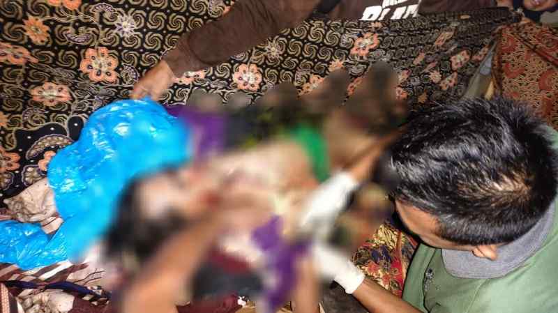 Temuan Korban Diterkam Harimau, Polda Lampung Himbau Untuk Berhati-hati dan Lapor Temuan Korban Diterkam Harimau, Polda Lampung Himbau Untuk Berhati-hati dan Lapor