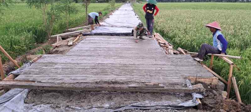 Ada Penampakan Ditengah Sawah Desa Kalikudi Ada Penampakan Ditengah Sawah Desa Kalikudi