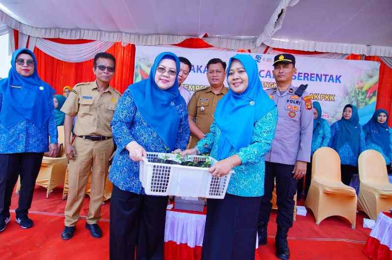 Peringati HKG Ke-52, TP-PKK Muba Ikut Lakukan Penanaman 500 Bibit Cabai Secara Virtual Peringati HKG Ke-52, TP-PKK Muba Ikut Lakukan Penanaman 500 Bibit Cabai Secara Virtual