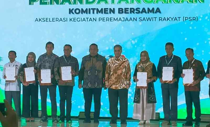 Kadis Pertanian Kaur Tandatangan PKS Dana Dukungan Manajemen PSR di Jakarta Kadis Pertanian Kaur Tandatangan PKS Dana Dukungan Manajemen PSR di Jakarta