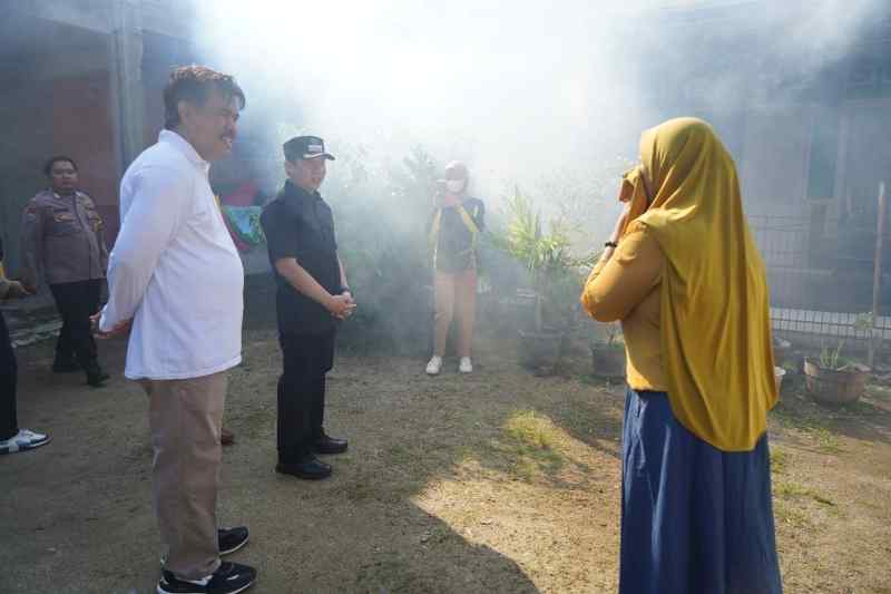 Hingga Maret Penderita DBD Di Pringsewu Capai Ratusan Hingga Maret Penderita DBD Di Pringsewu Capai Ratusan