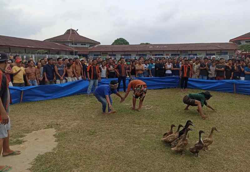Bebek Yang Lepas di Lapas berhasil di tangkap WBP Bebek Yang Lepas di Lapas berhasil di tangkap WBP