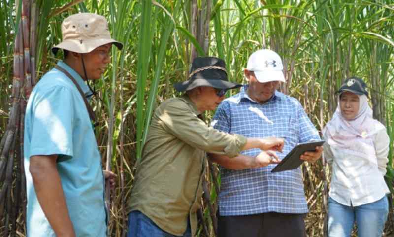 SGN PG Sragi, Benteng Terakhir Pabrik Gula di Pantura: Fokus Bangun Kemitraan Petani Jaga Pasokan BBT SGN PG Sragi, Benteng Terakhir Pabrik Gula di Pantura: Fokus Bangun Kemitraan Petani Jaga Pasokan BBT