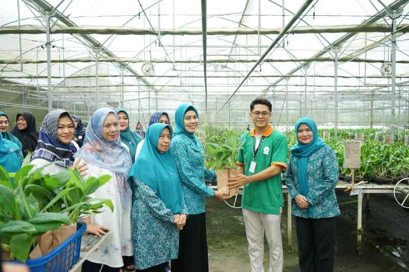 Pj Ketua TP-PKK Sumut Bersama Ketua TP PKK Asahan Kunjungi PT. Hijau Surya Biotechindo Pj Ketua TP-PKK Sumut Bersama Ketua TP PKK Asahan Kunjungi PT. Hijau Surya Biotechindo