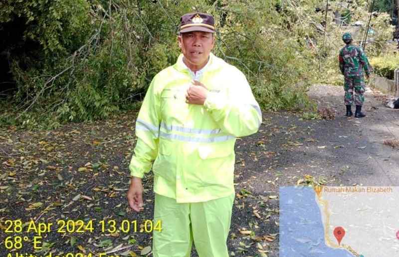 Pohon Tumbang di Jalan Lintas Siantar Parapat, Polsek Parapat Gerak Cepat Pohon Tumbang di Jalan Lintas Siantar Parapat, Polsek Parapat Gerak Cepat