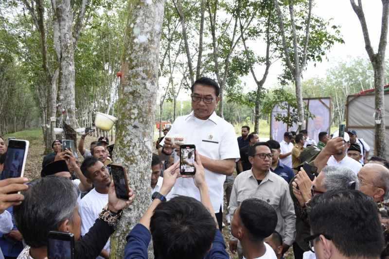 Sekda Novriwan Sambut Kedatangan KSP Moeldoko dan Perusahaan Mercu Bio Tech Malaysia Sekda Novriwan Sambut Kedatangan KSP Moeldoko dan Perusahaan Mercu Bio Tech Malaysia