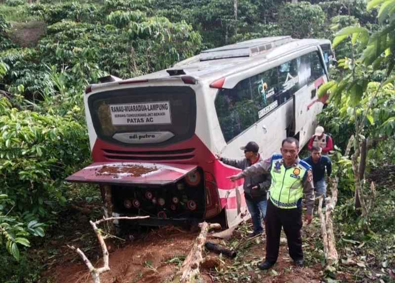 Kronologi Bus Masuk Jurang di Lambar, Polisi Sebut Pandangan Sopir Terhalang Kabut Kronologi Bus Masuk Jurang di Lambar, Polisi Sebut Pandangan Sopir Terhalang Kabut
