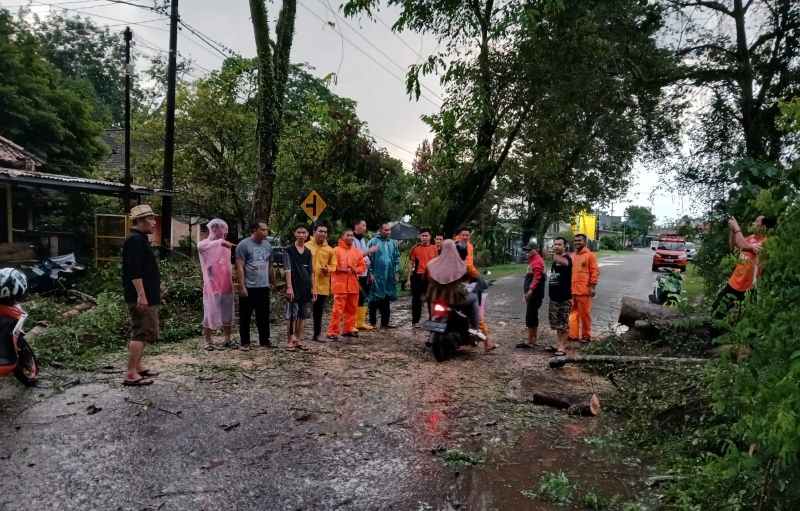 Respon Cepat, BPBD Muba Tuntaskan Pohon Tumbang yang Ganggu Akses Jalan Praja Permai Respon Cepat, BPBD Muba Tuntaskan Pohon Tumbang yang Ganggu Akses Jalan Praja Permai
