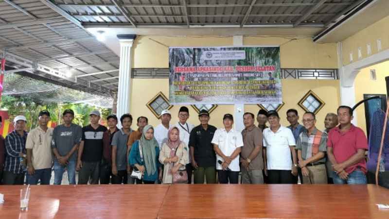 Apkasindo Pessel Upayakan Penetapan Bersama Harga TBS Kelapa Sawit Kebun Rakyat Apkasindo Pessel Upayakan Penetapan Bersama Harga TBS Kelapa Sawit Kebun Rakyat