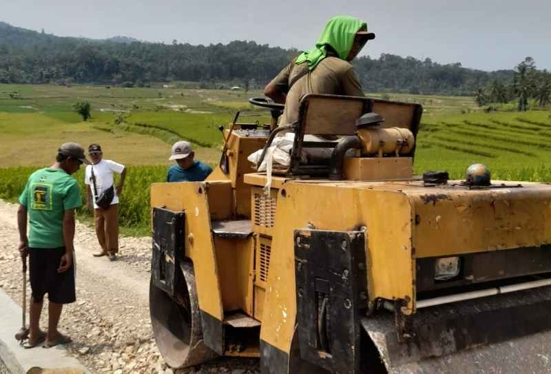 Gunakan Dana Desa 2024, Pekon Rejosari Timbun 101 Meter Jalan Usaha Tani Gunakan Dana Desa 2024, Pekon Rejosari Timbun 101 Meter Jalan Usaha Tani