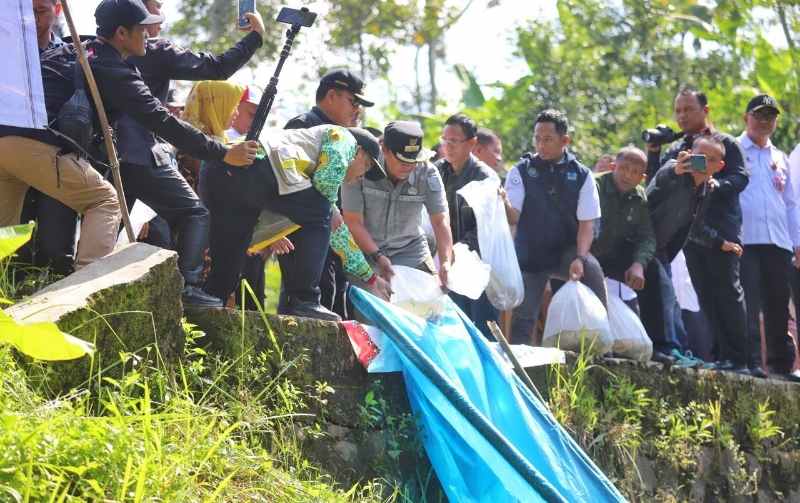 Pj Bupati Nukman Dampingi Gubernur Lampung Lakukan Penebaran Benih Ikan di Air Hitam Pj Bupati Nukman Dampingi Gubernur Lampung Lakukan Penebaran Benih Ikan di Air Hitam