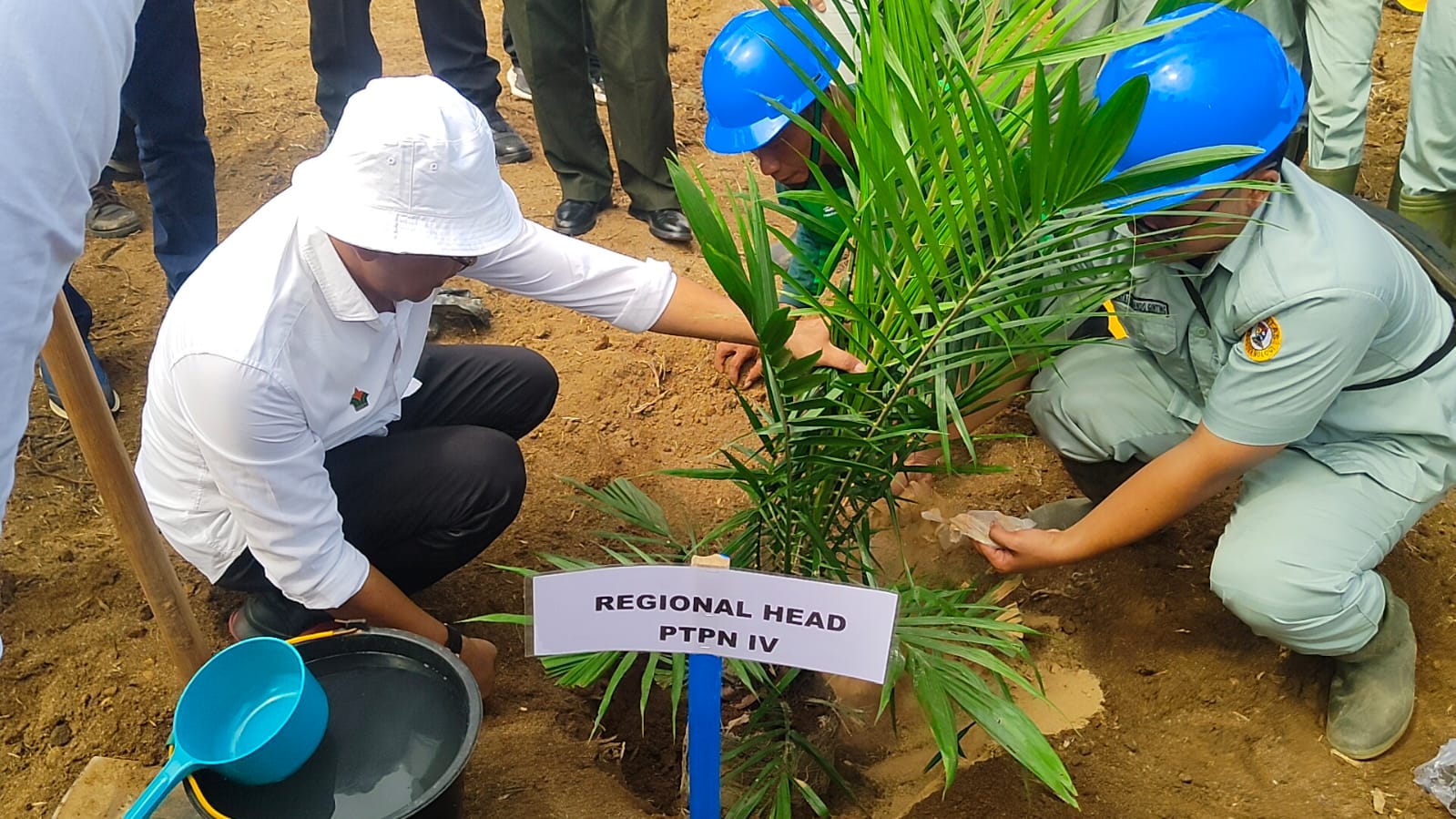 Penanaman Perdana 2024 di PTPN IV Unit Adolina: Langkah Awal Menuju Produktivitas Penanaman Perdana 2024 di PTPN IV Unit Adolina: Langkah Awal Menuju Produktivitas