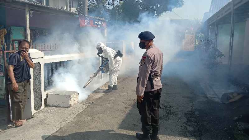 Masih Adanya Kasus DBD dan Chikungunya, Brimob Lampung Fogging Lingkungan Warga Masih Adanya Kasus DBD dan Chikungunya, Brimob Lampung Fogging Lingkungan Warga