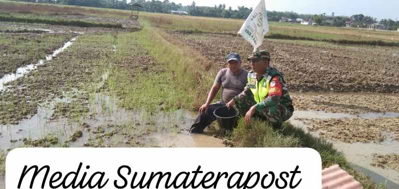 Melalui Komsos, Babinsa Sertu Rizal Sabarudin Berikan Motivasi Kepada Petani Melalui Komsos, Babinsa Sertu Rizal Sabarudin Berikan Motivasi Kepada Petani