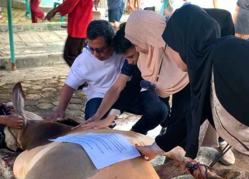 PTPN I dan KSO PTPN IV Reg.7 Potong 153 Hewan Kurban PTPN I dan KSO PTPN IV Reg.7 Potong 153 Hewan Kurban