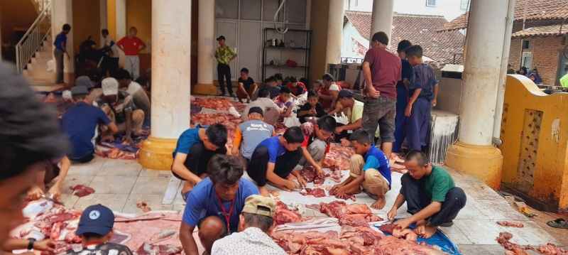 Sambut Idul Adha 1445 H, Ponpes Riyadhus Sholihin Sembelih 13 Ekor Sapi Qurban Sambut Idul Adha 1445 H, Ponpes Riyadhus Sholihin Sembelih 13 Ekor Sapi Qurban