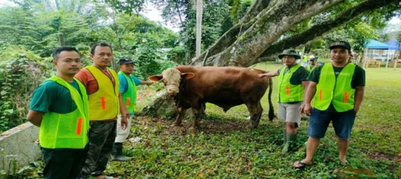 PTPN I Bagikan 387 ekor Hewan Kurban di 10 Provinsi pada Idul Adha 2024 PTPN I Bagikan 387 ekor Hewan Kurban di 10 Provinsi pada Idul Adha 2024
