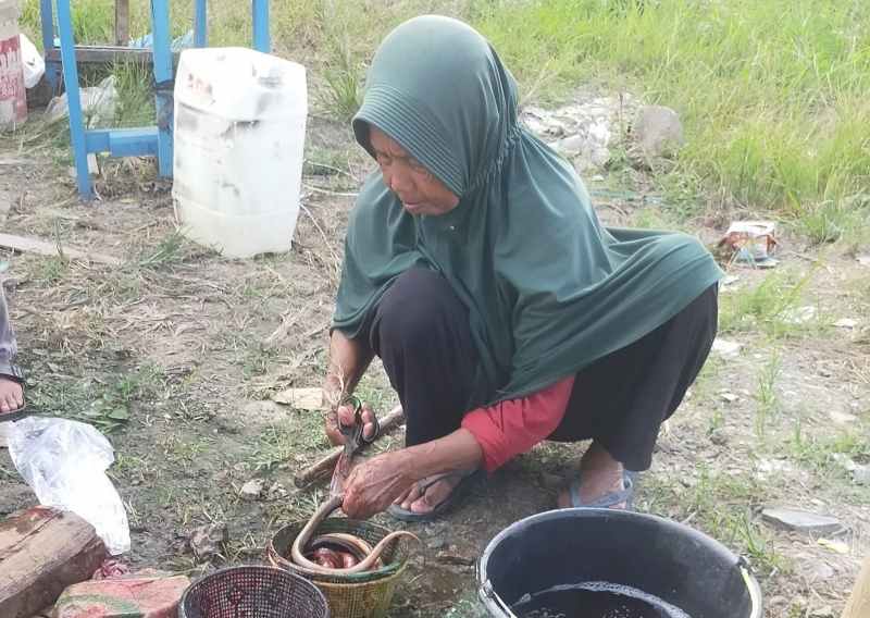 Lumayan Mas Untuk Jajan Cucu Lumayan Mas Untuk Jajan Cucu