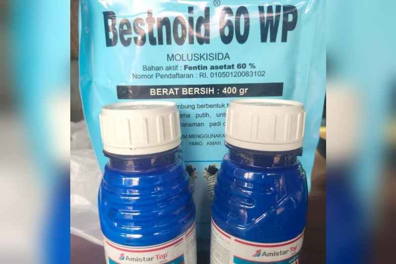 Pemalsu Racun Keong Belum Terungkap, Petani Pematang Terang Kembali Tertipu Pestisida Palsu Pemalsu Racun Keong Belum Terungkap, Petani Pematang Terang Kembali Tertipu Pestisida Palsu