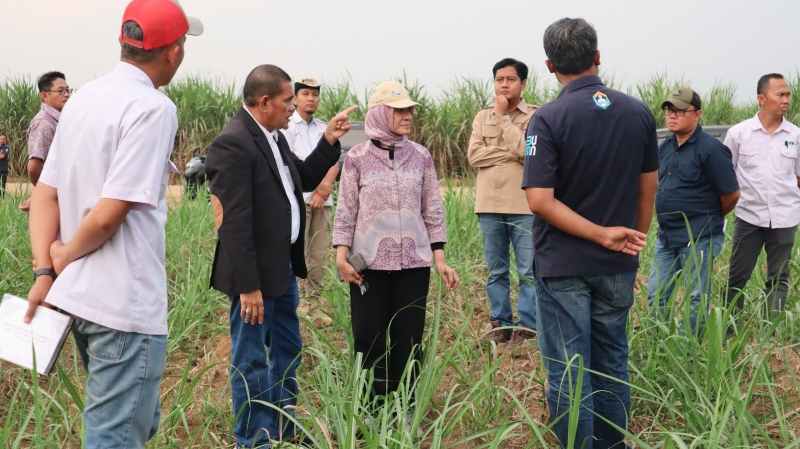 Dukung Swasembada Gula, Tuhu Bangun Kunjungi PG Bunga Mayang Dukung Swasembada Gula, Tuhu Bangun Kunjungi PG Bunga Mayang
