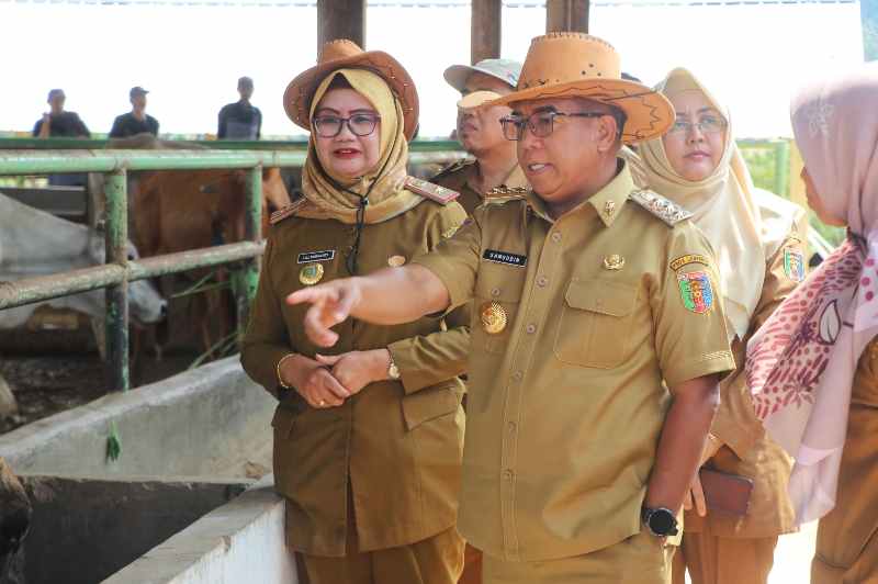 Komitmen Menjaga Ketahanan Pangan, Pj. Gubernur Samsudin Dorong Peningkatan Pembibitan Ternak Sapi Komitmen Menjaga Ketahanan Pangan, Pj. Gubernur Samsudin Dorong Peningkatan Pembibitan Ternak Sapi