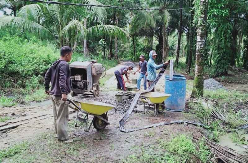 Pemerintah Pekon Way Jambu Membangun Jalan Ketahanan Pangan Pemerintah Pekon Way Jambu Membangun Jalan Ketahanan Pangan