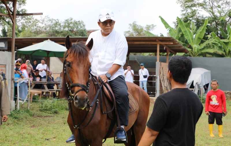 Pj. Gubernur Samsudin Ajak Masyarakat Ramaikan Wisata Edukasi Kebun PKK Agropark Sabah Balau Pj. Gubernur Samsudin Ajak Masyarakat Ramaikan Wisata Edukasi Kebun PKK Agropark Sabah Balau