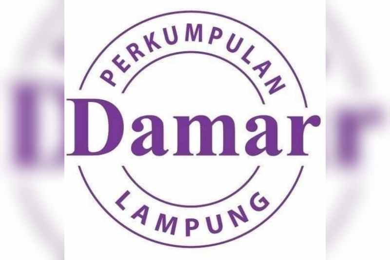 Afrintina: Lampung Darurat Kekerasan Terhadap Perempuan dan Anak Afrintina: Lampung Darurat Kekerasan Terhadap Perempuan dan Anak
