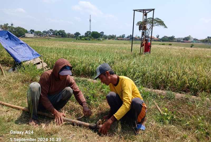 Petani di Pringsewu Menjerit Kekurangan Air, Terancam Gagal Panen Petani di Pringsewu Menjerit Kekurangan Air, Terancam Gagal Panen