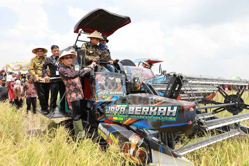 Pj. Gubernur Samsudin dan Ibu Maidawati Panen Raya Padi Musim Tanam Gadu di Mesuji Pj. Gubernur Samsudin dan Ibu Maidawati Panen Raya Padi Musim Tanam Gadu di Mesuji