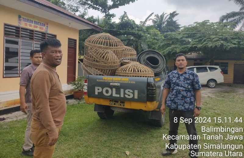Polsek Tanah Jawa Gerebek Arena Sabung Ayam, Pelaku Melarikan Diri Polsek Tanah Jawa Gerebek Arena Sabung Ayam, Pelaku Melarikan Diri