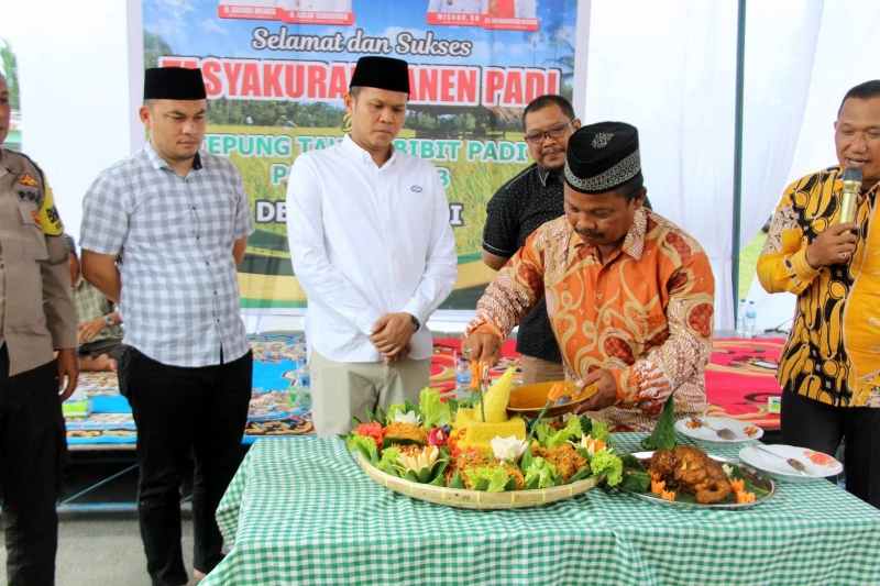 Syukuran Panen Padi, Wabup Sergai Tekankan Sinergi Petani dan Penyuluh Syukuran Panen Padi, Wabup Sergai Tekankan Sinergi Petani dan Penyuluh