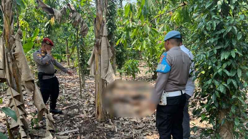 Polisi Selidiki Penemuan Mayat Dikebun Milik Warrga Pringsewu Polisi Selidiki Penemuan Mayat Dikebun Milik Warrga Pringsewu