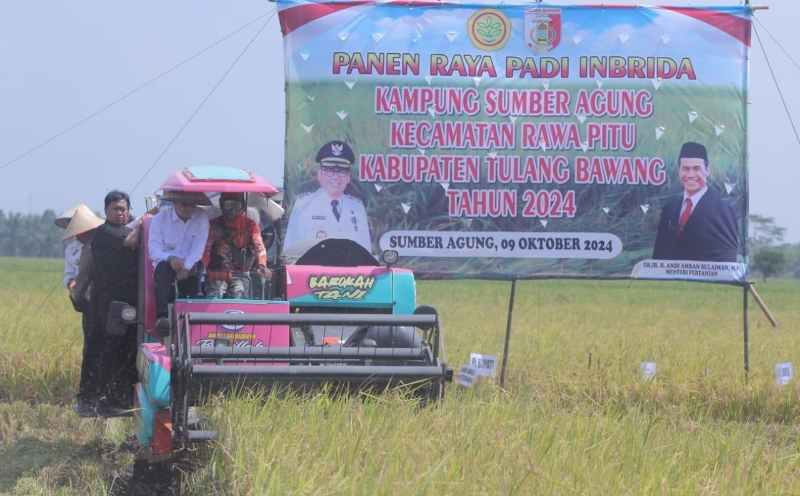 Pj Bupati Tulang Bawang Hadiri Panen Raya Padi Inbrida di Kampung Sumber Agung, Rawa Pitu Pj Bupati Tulang Bawang Hadiri Panen Raya Padi Inbrida di Kampung Sumber Agung, Rawa Pitu