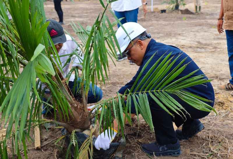 PTPN IV PalmCo Targetkan 2,1 Juta Bibit Unggul Diserap Petani Hingga 2024, Begini Strateginya PTPN IV PalmCo Targetkan 2,1 Juta Bibit Unggul Diserap Petani Hingga 2024, Begini Strateginya