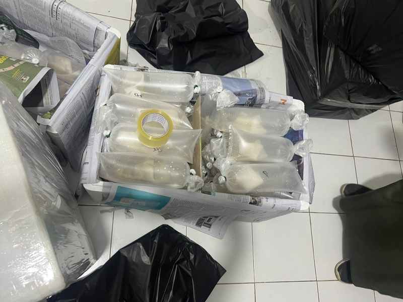 Polda Lampung Gagalkan Penyelundupan 149.400 Benih Lobster Tanpa Izin Polda Lampung Gagalkan Penyelundupan 149.400 Benih Lobster Tanpa Izin