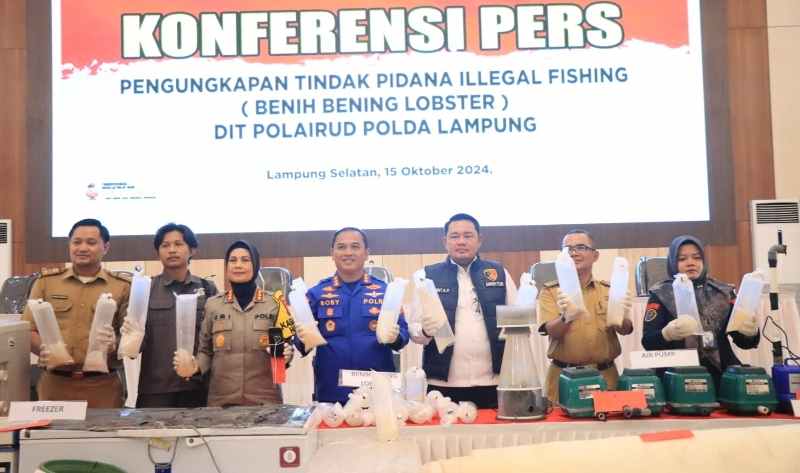 Ungkap 149.400 Ekor BBL, Polda Lampung Selamatkan Kerugian Negara Rp37,3 M Ungkap 149.400 Ekor BBL, Polda Lampung Selamatkan Kerugian Negara Rp37,3 M