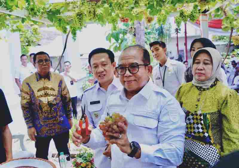 Pj.Gubernur Samsudin Tinjau Kebun Anggur DPD ASPAI Pringsewu Pj.Gubernur Samsudin Tinjau Kebun Anggur DPD ASPAI Pringsewu