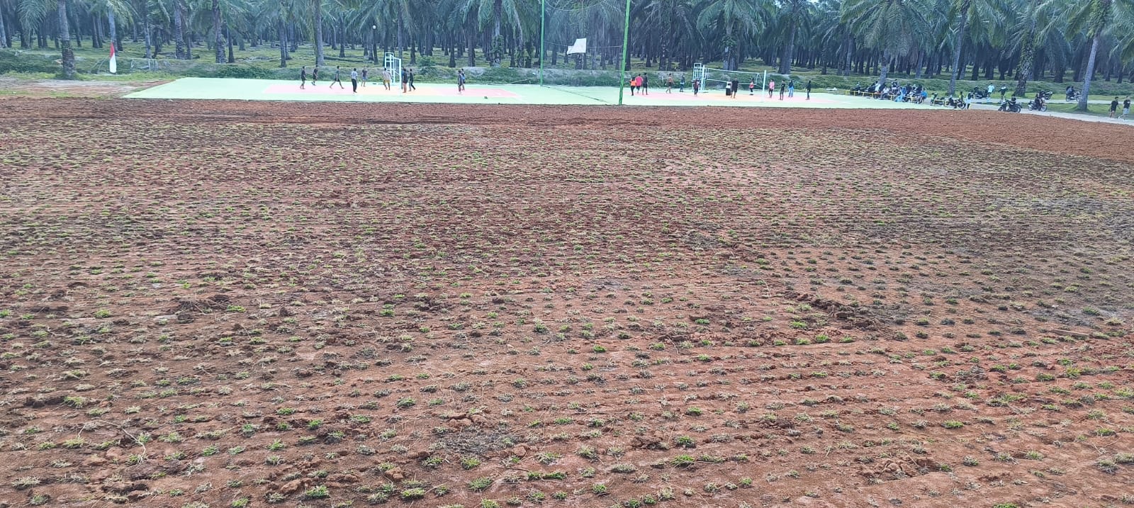 Lapangan Mini Soccer Hadir di Sergai, Sambut Antusias Penggiat Olahraga Lapangan Mini Soccer Hadir di Sergai, Sambut Antusias Penggiat Olahraga