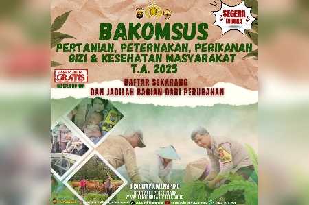 Siap-siap! Polda Lampung Ajak Lulusan Pertanian hingga Gizi Daftar Bakomsus Polri Siap-siap! Polda Lampung Ajak Lulusan Pertanian hingga Gizi Daftar Bakomsus Polri