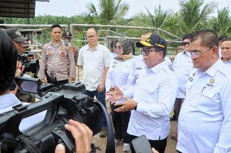 Pj. Gubernur Lampung Tinjau Peternakan Sapi Terintegrasi di Lampura untuk Perkuat Ketahanan Pangan Pj. Gubernur Lampung Tinjau Peternakan Sapi Terintegrasi di Lampura untuk Perkuat Ketahanan Pangan