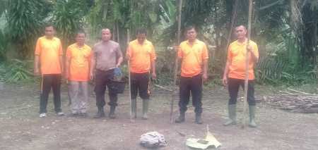 Polsek Bosar Maligas Dukung Ketahanan Pangan Melalui Penanaman Jagung di Lahan Kosong Polsek Bosar Maligas Dukung Ketahanan Pangan Melalui Penanaman Jagung di Lahan Kosong