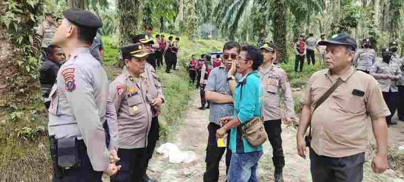 Polres Simalungun Amankan Okupasi Lahan PT Sawit Indah Abadi Polres Simalungun Amankan Okupasi Lahan PT Sawit Indah Abadi