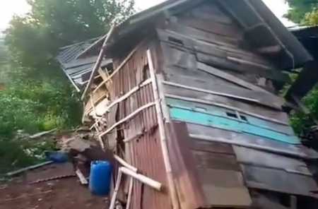 Kawanan Gajah Rusak 7 Rumah Warga di Kabupaten Tanggamus Kawanan Gajah Rusak 7 Rumah Warga di Kabupaten Tanggamus