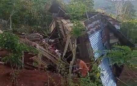 Tim Gabungan Giring Kawanan Gajah Kembali ke Hutan, Belasan Rumah Warga Sempat Dirusak Tim Gabungan Giring Kawanan Gajah Kembali ke Hutan, Belasan Rumah Warga Sempat Dirusak