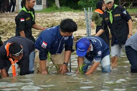 Kolaborasi Pecinta Alam Bandar Lampung: Selamatkan Pesisir dengan Penanaman 500 Mangrove Kolaborasi Pecinta Alam Bandar Lampung: Selamatkan Pesisir dengan Penanaman 500 Mangrove