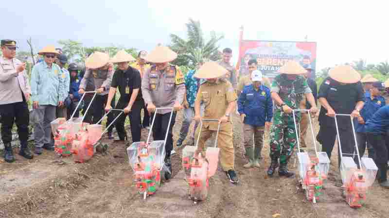 Guna Swasembada Pangan Nasional, Polres Kaur Pimpin Gerakkan Tanam Jagung Serentak Guna Swasembada Pangan Nasional, Polres Kaur Pimpin Gerakkan Tanam Jagung Serentak