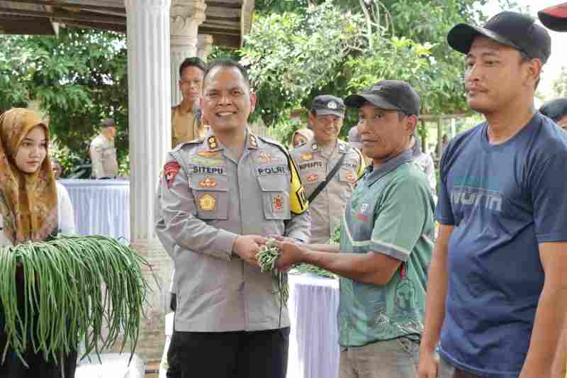 Polres Sergai Bagikan 2.000 Bibit Cabai Dukung Ketahanan Pangan Polres Sergai Bagikan 2.000 Bibit Cabai Dukung Ketahanan Pangan