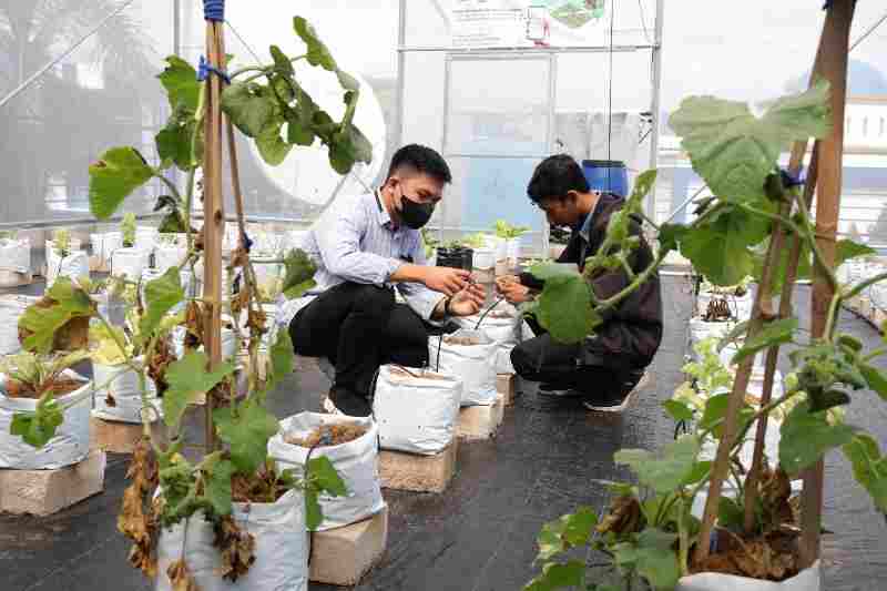 Dukung Revolusi Pangan, IIB Darmajaya Resmi Luncurkan Prodi Teknologi Pangan Dukung Revolusi Pangan, IIB Darmajaya Resmi Luncurkan Prodi Teknologi Pangan